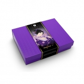 Подарочный набор Naughter Kit - Shunga - купить с доставкой в Одинцово