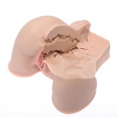 Мастурбатор-полуторс Naked Factory Kate - Naked Factory - в Одинцово купить с доставкой