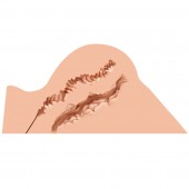 Мастурбатор-полуторс Naked Factory Hannah - Naked Factory - в Одинцово купить с доставкой