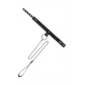 Черный узкий однослойный ошейник с серебристым поводком-цепочкой - Pecado - купить с доставкой в Одинцово