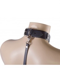 Черный ошейник с металлическими зажимами на соски и поводком - Sitabella - купить с доставкой в Одинцово