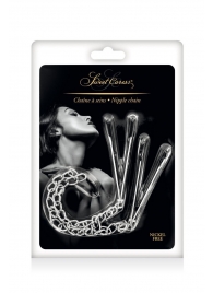 Регулируемые зажимы для сосков Sweet Caress Nipple Chain - Sweet Caress - купить с доставкой в Одинцово