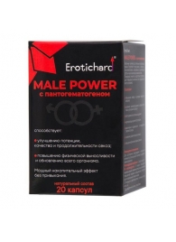 Капсулы для мужчин Erotichard male power с пантогематогеном - 20 капсул (0,370 гр.) - Erotic Hard - купить с доставкой в Одинцово