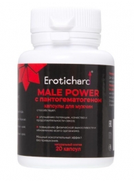 Капсулы для мужчин Erotichard male power с пантогематогеном - 20 капсул (0,370 гр.) - Erotic Hard - купить с доставкой в Одинцово