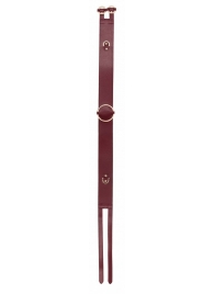 Бордовый ремень Halo Waist Belt - размер L-XL - Shots Media BV - купить с доставкой в Одинцово