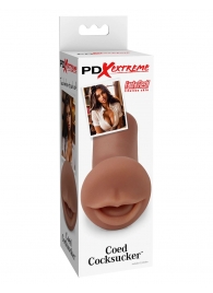Мастурбатор-ротик Coed Cocksucker - Pipedream - в Одинцово купить с доставкой