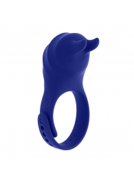 Синее эрекционное виброкольцо с клиторальной подушечкой и пультом ДУ Adjustable Fun Ring - Zero Tolerance - в Одинцово купить с доставкой