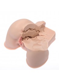 Мастурбатор-полуторс Naked Factory Kate - Naked Factory - в Одинцово купить с доставкой