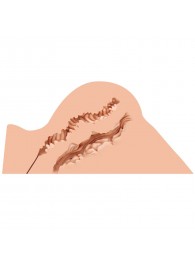 Мастурбатор-полуторс Naked Factory Hannah - Naked Factory - в Одинцово купить с доставкой