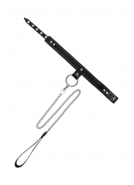 Черный узкий однослойный ошейник с серебристым поводком-цепочкой - Pecado - купить с доставкой в Одинцово