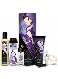 Подарочный набор CARNAL PLEASURES - Shunga - купить с доставкой в Одинцово