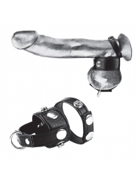 Утяжка для мошонки и пениса Cock Ring With 1  Ball Stretcher And Optional Weight Ring - BlueLine - купить с доставкой в Одинцово