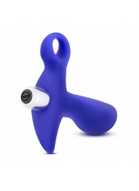 Синий стимулятор простаты с ручкой-кольцом Performance Prostimulator 02 - Blush Novelties - в Одинцово купить с доставкой