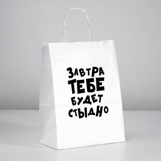 Подарочный пакет  Завтра тебе будет стыдно  - 30 х 24 см. - UPAK LAND - купить с доставкой в Одинцово