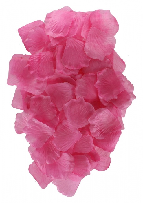 Эротический набор FANTASTIC PURPLE SEX TOY KIT - Toy Joy - купить с доставкой в Одинцово