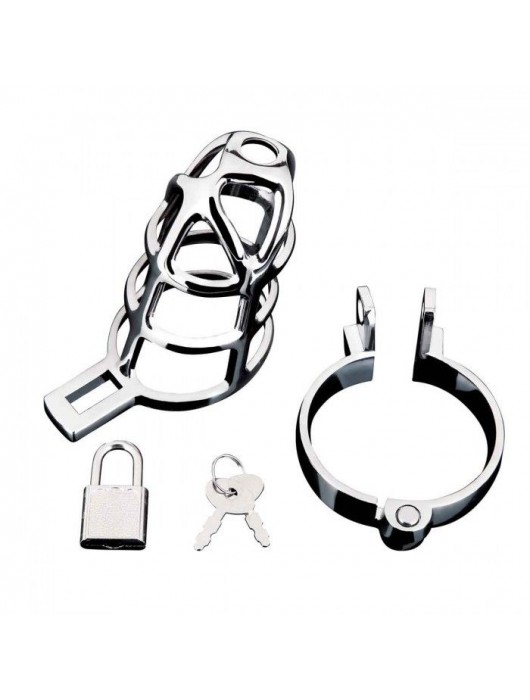 Серебристая металлическая клетка для члена с замком Enslave Cock Cage - BlueLine - купить с доставкой в Одинцово