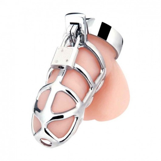Серебристая металлическая клетка для члена с замком Enslave Cock Cage - BlueLine - купить с доставкой в Одинцово