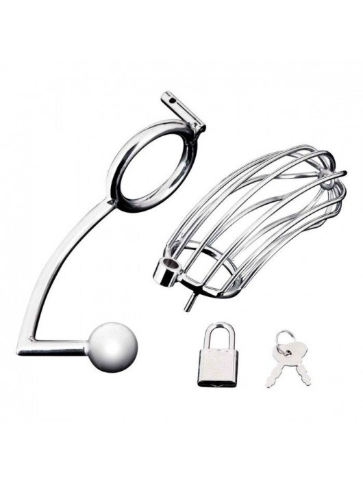 Серебристая металлическая клетка с анальным стимулятором Cock Cage - BlueLine - купить с доставкой в Одинцово