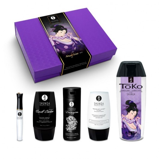 Подарочный набор Naughter Kit - Shunga - купить с доставкой в Одинцово