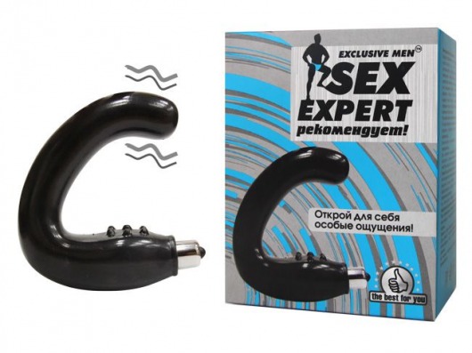 Чёрный массажёр простаты серии Sex Expert - Sex Expert - в Одинцово купить с доставкой
