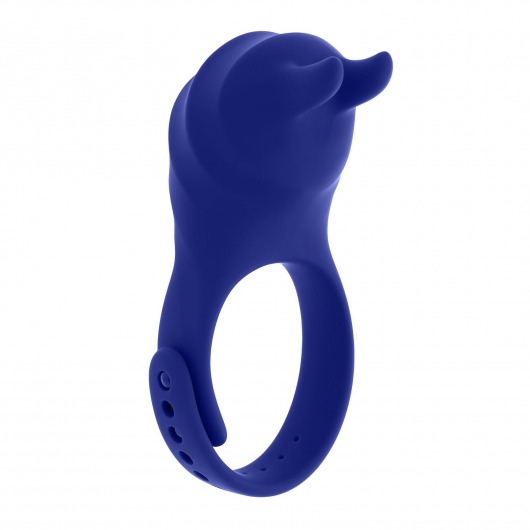 Синее эрекционное виброкольцо с клиторальной подушечкой и пультом ДУ Adjustable Fun Ring - Zero Tolerance - в Одинцово купить с доставкой