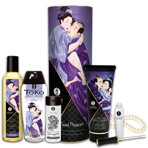 Подарочный набор CARNAL PLEASURES - Shunga - купить с доставкой в Одинцово