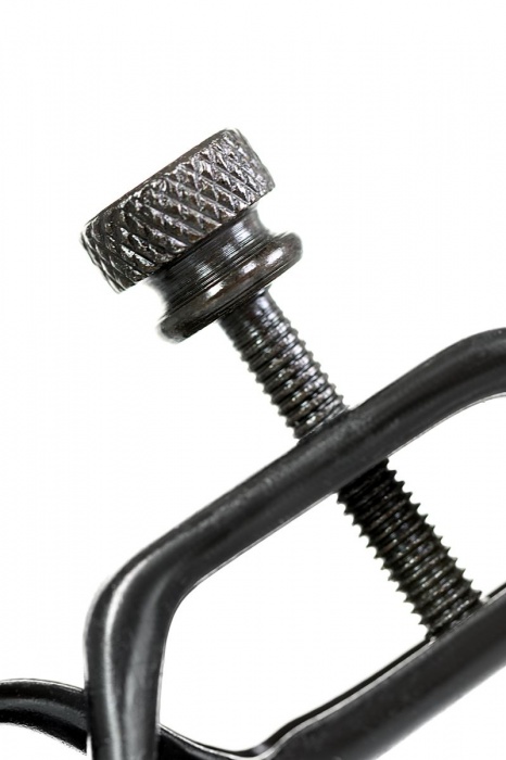 Черно-золотистые зажимы для сосков TOYFA Theatre - ToyFa - купить с доставкой в Одинцово